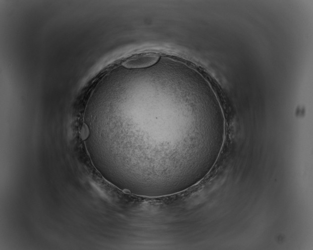 X0000101961496200807181028