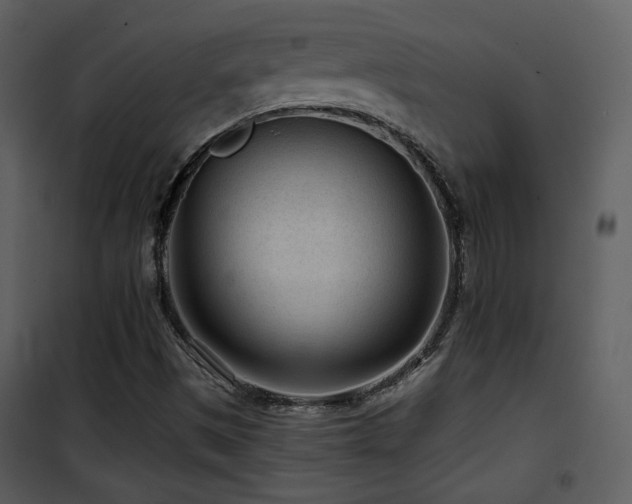 X0000101961497200807181028