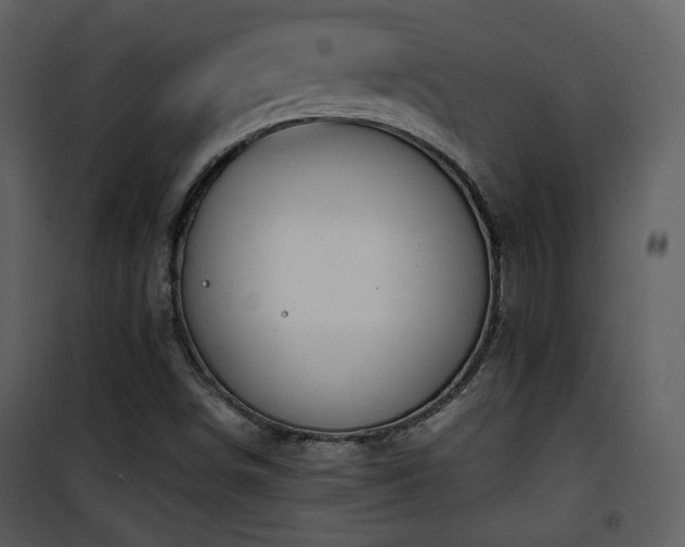 X0000101961498200807181028