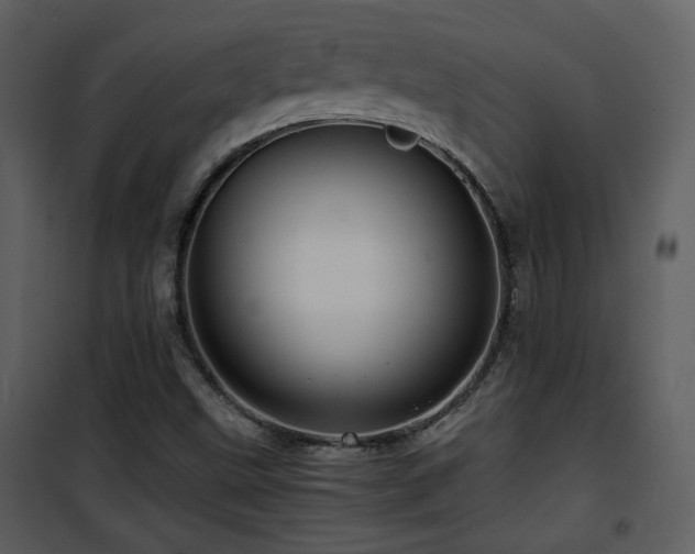 X0000101961499200807181028