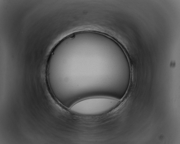 X0000101961500200807181028