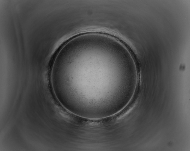 X0000101961501200807181028