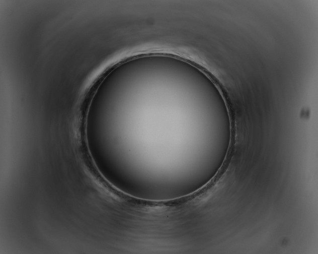 X0000101961502200807181028