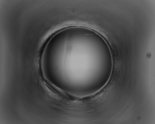 X0000101961503200807181028