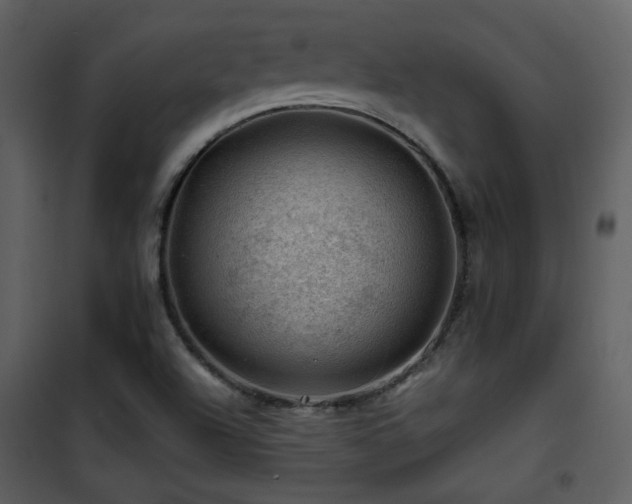 X0000101961504200807181028