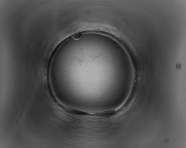X0000101961505200807181028