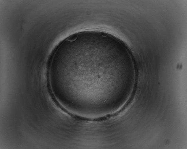 X0000101961506200807181028
