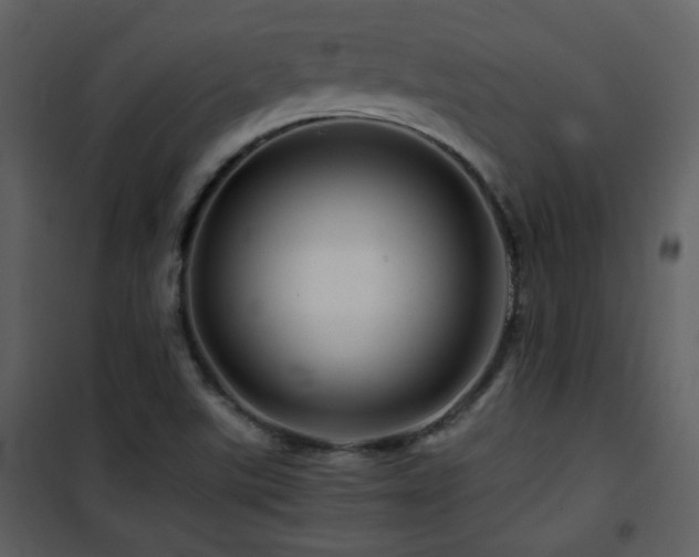 X0000101961507200807181028