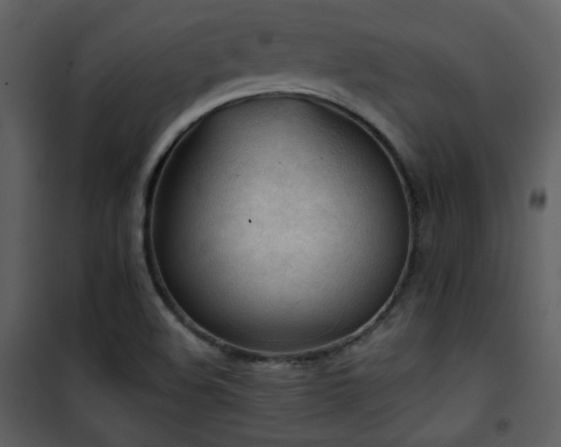 X0000101961508200807181028