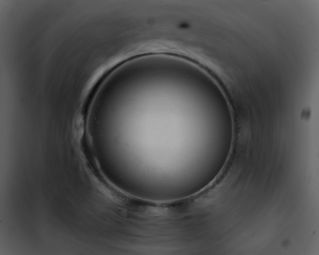X0000101961509200807181028