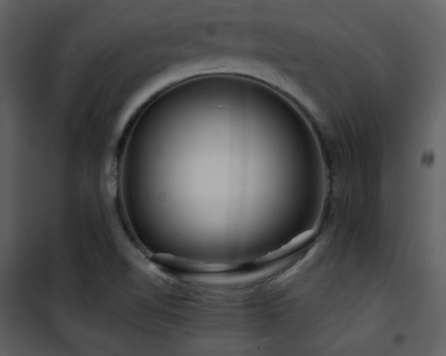 X0000101961510200807181028