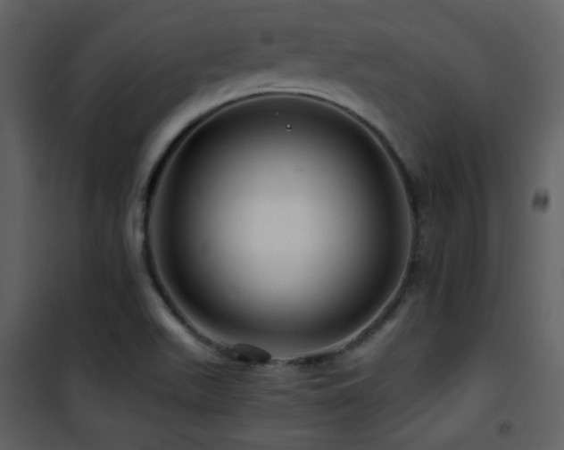 X0000101961511200807181028