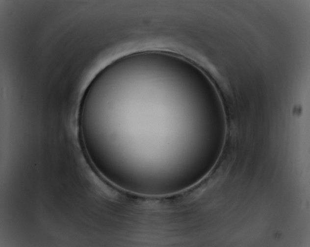 X0000101961512200807181028