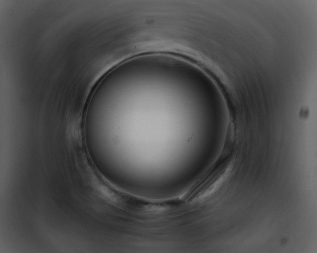 X0000101961513200807181028