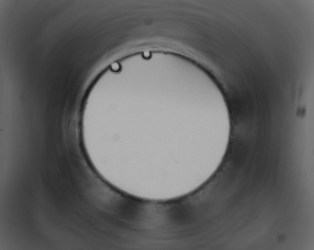 X0000101961514200807181028