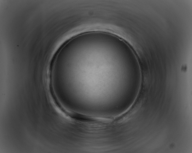 X0000101961515200807181028