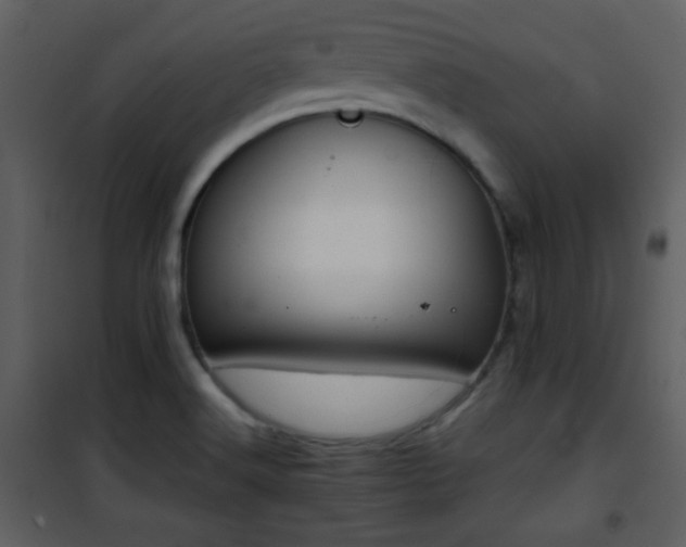 X0000101961516200807181028