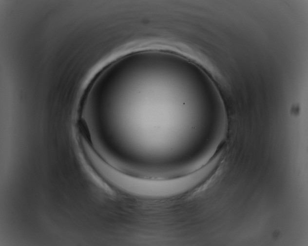 X0000101961518200807181028