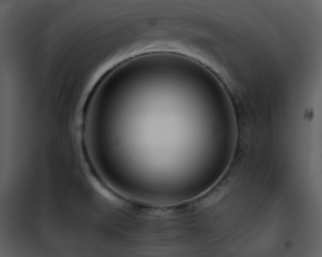 X0000101961519200807181028