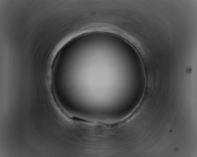 X0000101961520200807181028
