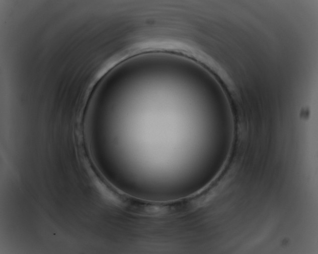 X0000101961521200807181028