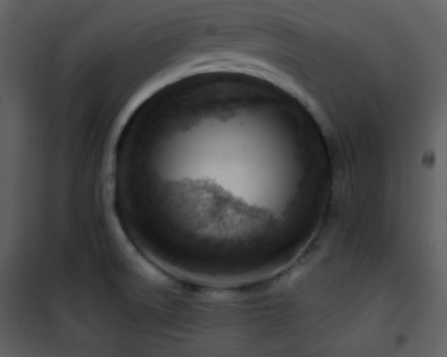 X0000101961522200807181028