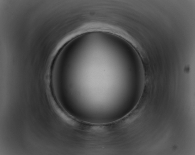 X0000101961523200807181028