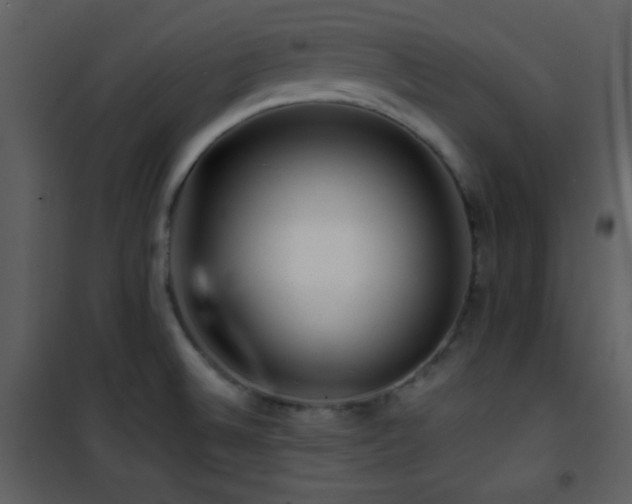 X0000101961524200807181028
