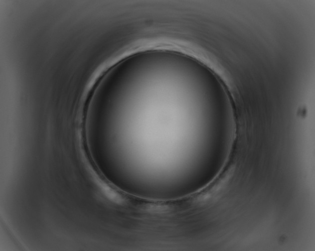 X0000101961525200807181028