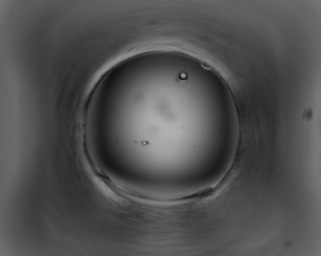 X0000101961526200807181028