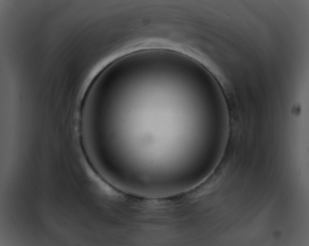 X0000101961527200807181028