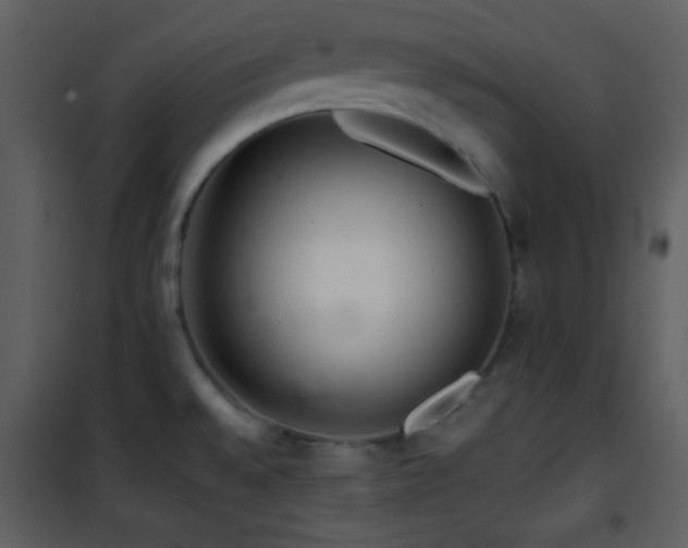 X0000101961528200807181028