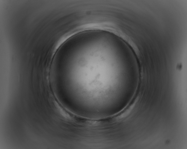 X0000101961529200807181028