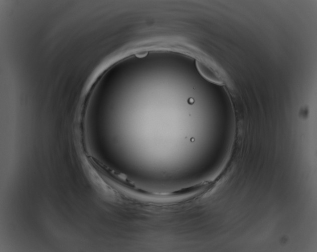 X0000101961530200807181028