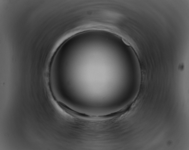 X0000101961531200807181028