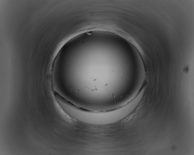 X0000101961532200807181028