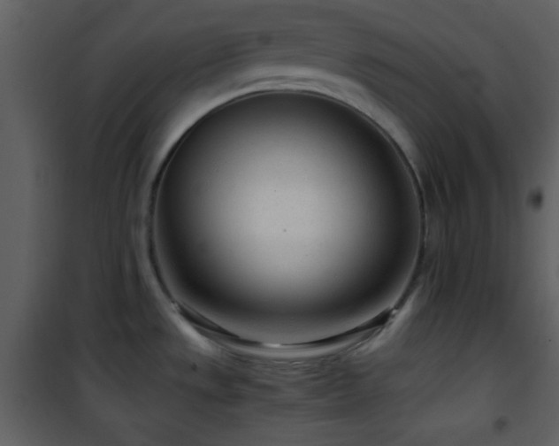 X0000101961533200807181028