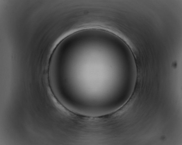 X0000101961534200807181028