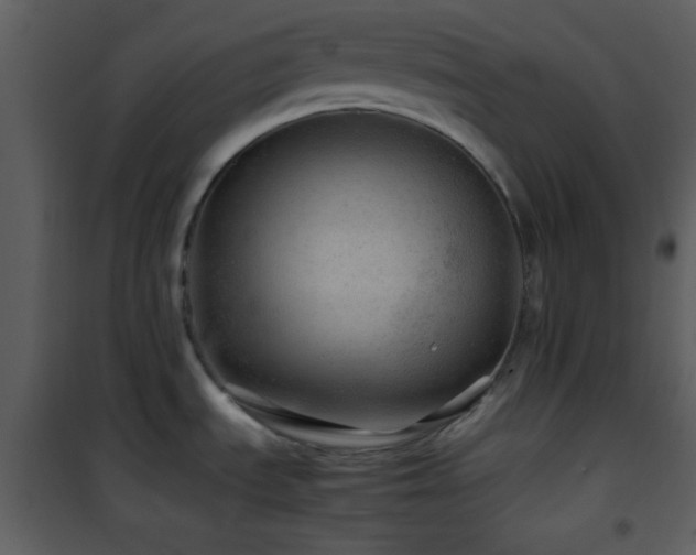 X0000101961535200807181028