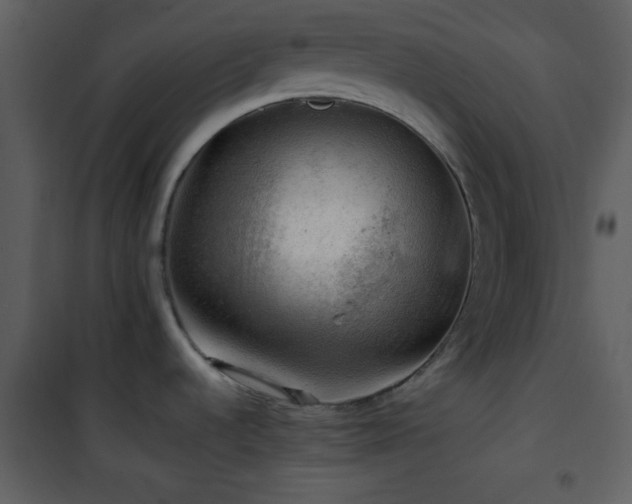 X0000101961536200807181028