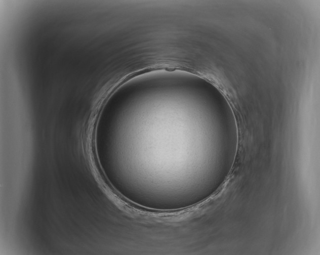 X0000101960001200807251204