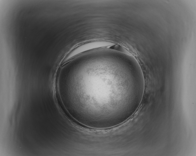 X0000101960002200807251204