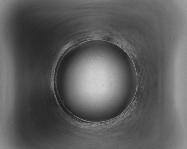 X0000101960003200807251204