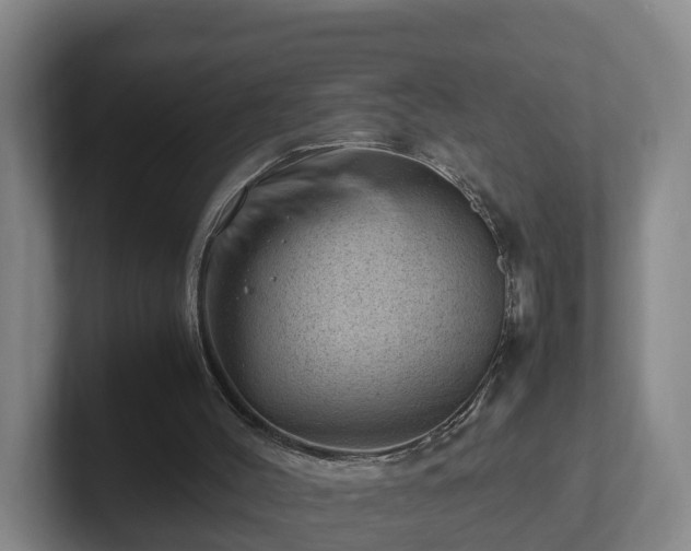 X0000101960004200807251204