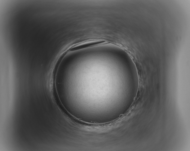 X0000101960005200807251204