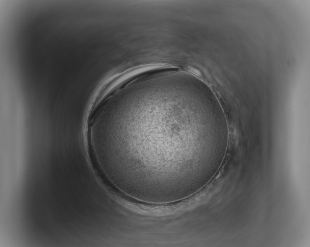 X0000101960006200807251204