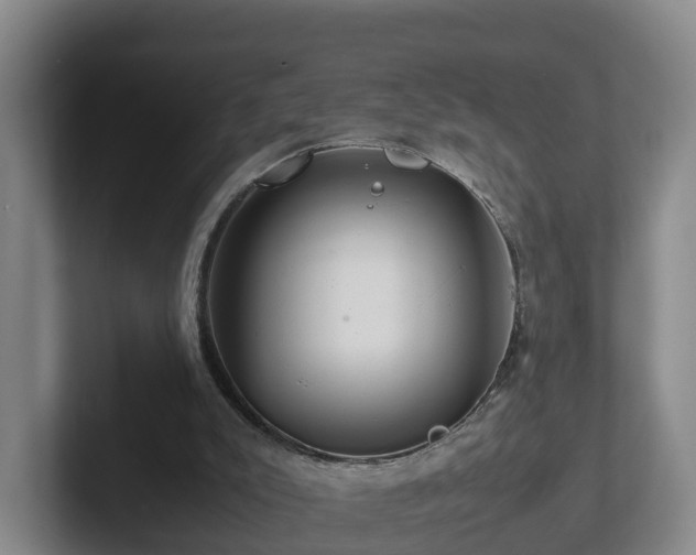 X0000101960007200807251204