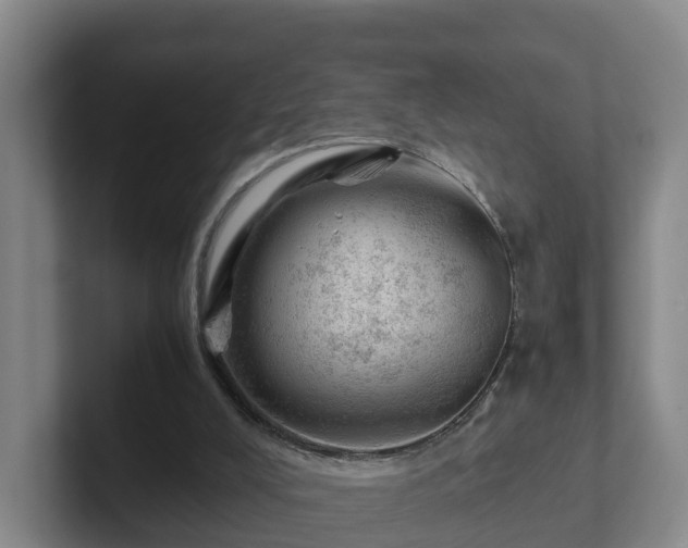 X0000101960008200807251204