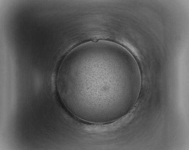 X0000101960009200807251204