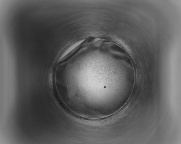 X0000101960010200807251204